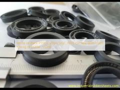 White or Black PTFE Carbon Seal , PTFE Oil Seal With Insert Spring of SS304 , SS316