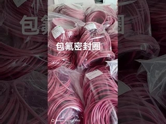 FEP Encap Silikon O Ring, FEP Encap Viton O Ring