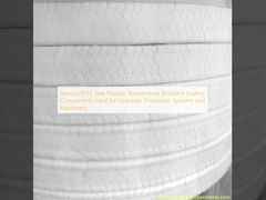 Verschiedene PTFE-Dichtungen Flexible, temperaturbeständige Dichtungskomponenten, ideal für hydraulische, pneumatische Systeme und Maschinen