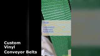 Kundenspezifische Vinyl-Förderbandlösungen